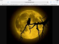 Moon Of Heart (book 1) Darkness fills Moon Of Heart (book 1) Darkness fills