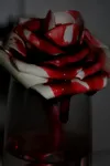 Better Off Red Better Off Red