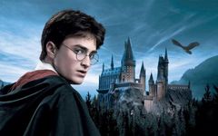 Harry Potter activitys Harry Potter activitys