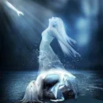 Dreaming isn't always a Dream Dreaming isn't always a Dream