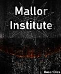 Mallor Institute Mallor Institute