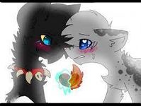 Gay Cats Gay Cats