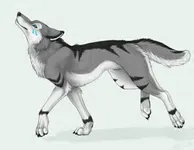 Silverstorm Silverstorm