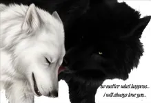 Wolf Heart Wolf Heart