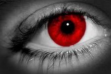 Red-Eyed Fred Red-Eyed Fred