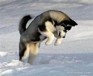 Some quotes for you to laugh at and enjoy... Some quotes for you to laugh at and enjoy...