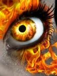 The Cleansing The Cleansing