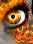 The Cleansing The Cleansing