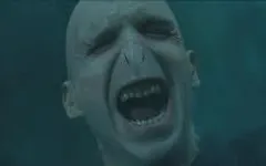 Voldemort's Birthday Party
