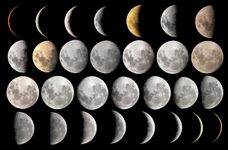 the moon decides the moon decides