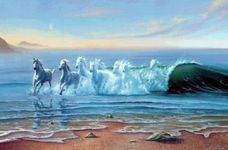 Sea Horse Sea Horse