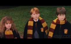 C.Y.O.A hp year 1 C.Y.O.A hp year 1