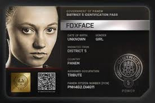 Foxfaces story Foxfaces story