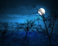 Randomly Evil and Funny Short Stories -made in 10 minutes or less- Randomly Evil and Funny Short Stories -made in 10 minutes or less-