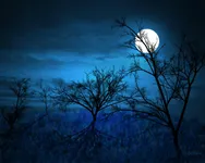 Randomly Evil and Funny Short Stories -made in 10 minutes or less- Randomly Evil and Funny Short Stories -made in 10 minutes or less-