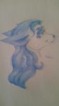 Venus backstory rough draft Venus backstory rough draft