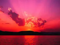 The Golden Fire in the Sunset The Golden Fire in the Sunset