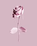 Bereavement Bereavement