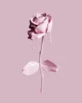 Bereavement Bereavement