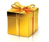 What is the best present you have ever received? On what occasion? What is the best present you have ever received? On what occasion?
