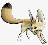 If you were an animal what would you be? Id be An Artic Fox, Deer, or Cat If you were an animal what would you be? Id be An Artic Fox, Deer, or Cat