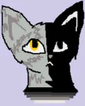 what do you think of Halface? i received a message from halface, saying he wants to know what you think of him. Plz answer! what do you think of Halface? i received a message from halface, saying he wants to know what you think of him. Plz answer!