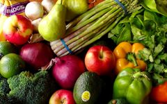 Is it true that the vegetarian diet can affect the development of the brain? Is it true that the vegetarian diet can affect the development of the brain?