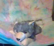 any names? I need help naming my wolf pup (boy or girl name) any names? I need help naming my wolf pup (boy or girl name)