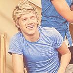 what is niall horans fan number what is niall horans number it can be his fan number i dont care but i really want his fan number what is niall horans fan number what is niall horans number it can be his fan number i dont care but i really want his fan number