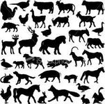 if you were an animal for a day? if you could change into any 1 animal for a single day, what would it be, im a black wolf >:) if you were an animal for a day? if you could change into any 1 animal for a single day, what would it be, im a black wolf >:)