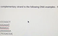 ay yo someone do my biology homework please and thank u i'll give u a bedtime kiss if u do this for me ay yo someone do my biology homework please and thank u i'll give u a bedtime kiss if u do this for me