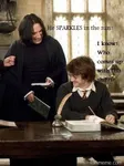 Why do people think twilight is better then harry potter cas its not Why do people think twilight is better then harry potter cas its not