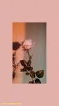 Will u do this? So me and Faith (@Eleven11) are doing a challenge- we're gonna be talking, dressing, and doing our makeup all vintage and stuff. She's doing the 50's and I'm doing the 80's and 90's. Will u do this? So me and Faith (@Eleven11) are doing a challenge- we're gonna be talking, dressing, and doing our makeup all vintage and stuff. She's doing the 50's and I'm doing the 80's and 90's.