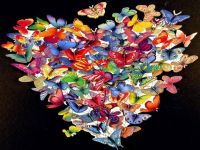 Do you love butterflies? I love butterflies Do you love butterflies? I love butterflies
