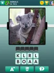 Don't you think this koala is adorable? I was playing this quiz game where you have to name the animal and the koala came up as a question. Isn't it just so cute? Don't you think this koala is adorable? I was playing this quiz game where you have to name the animal and the koala came up as a question. Isn't it just so cute?