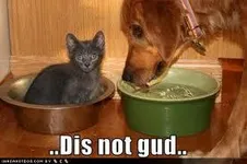 Is this funny in your opinion? Is this funny in your opinion? Is this funny in your opinion? Is this funny in your opinion?