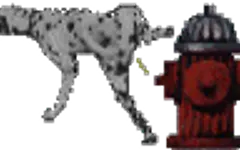 whats your favourite type of dog? is it a pug like puglover3000, a labrador, a jack russell, a border collie, a german shepherd, a st. bernards or any other breed you can think of!