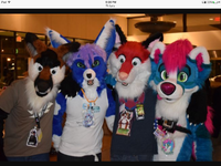 What are your thoughts on furries? I personally am ok with furries, the style is cool and it's pretty awesome. What about you? What are your thoughts on furries? I personally am ok with furries, the style is cool and it's pretty awesome. What about you?