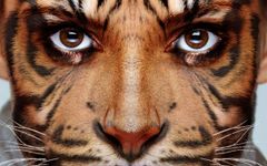 What if You Became Your Favorite Animal? What if you became your favorite animal? What would you be? What would you be? How'd you surive? What if You Became Your Favorite Animal? What if you became your favorite animal? What would you be? What would you be? How'd you surive?