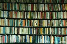 What Is Your Favorite Book? (2)