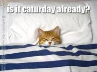 what's your favorite way to spend Saturday how do you spend Saturday at the pond or lake or at home watching TV what's your favorite way to spend Saturday how do you spend Saturday at the pond or lake or at home watching TV