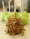 What is the worst candy you've ever tasted? There's always that one candy that we've tried -- and tried not to gag in the process. What's your sickly sweet? Your least favorite of all the confections?