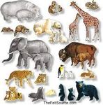 What animal do you think you are? I want to see of what people think of themselves as animals! Also can you please comment below on what animal you think I am because I don't know what animal I am! What animal do you think you are? I want to see of what people think of themselves as animals! Also can you please comment below on what animal you think I am because I don't know what animal I am!