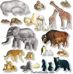 What animal do you think you are? I want to see of what people think of themselves as animals! Also can you please comment below on what animal you think I am because I don't know what animal I am! What animal do you think you are? I want to see of what people think of themselves as animals! Also can you please comment below on what animal you think I am because I don't know what animal I am!