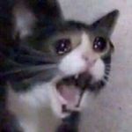 How was 2018 for y'all ? It's 2019 and I'm already dreading . Both years started off pretty normal but this year's comparatively not so good. (Academically) What about you guys? How was 2018 for y'all ? It's 2019 and I'm already dreading . Both years started off pretty normal but this year's comparatively not so good. (Academically) What about you guys?