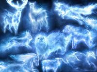 What patronus are you on pottermore? I am a nebelung cat which means creatures of the mist and my wand is yew but im gryffindor so it all fits! I am also an ocicat bred nembelung but enough abt me... What patronus are you on pottermore? I am a nebelung cat which means creatures of the mist and my wand is yew but im gryffindor so it all fits! I am also an ocicat bred nembelung but enough abt me...