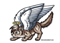 What is your favorite type of dog? Mine is and austrailian shepard post pictures of your favorite and follow thank you! What is your favorite type of dog? Mine is and austrailian shepard post pictures of your favorite and follow thank you!