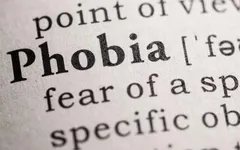 What is your phobia? (If you have one!) Do you have a phobia? In case there's any dummies out there, a phobia is something you simply can't stand. You have a irrational fear of it. What is your phobia about and how badly does it affect you? What is your phobia? (If you have one!) Do you have a phobia? In case there's any dummies out there, a phobia is something you simply can't stand. You have a irrational fear of it. What is your phobia about and how badly does it affect you?