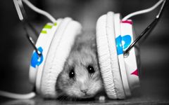 What Gernres of Music Do You Enjoy? Dubstep? Pop? Rock? Heavy Metal? Rap? Bubblegum Pop? Classical? Jazz? Hip-Hop? Electro? The possibilities are endless! What Gernres of Music Do You Enjoy? Dubstep? Pop? Rock? Heavy Metal? Rap? Bubblegum Pop? Classical? Jazz? Hip-Hop? Electro? The possibilities are endless!