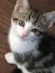 do u find social media addictive? gjhgjgk gyfkj li yghkyk g jhgk u tkjhgkyk gl ik td do u find social media addictive? gjhgjgk gyfkj li yghkyk g jhgk u tkjhgkyk gl ik td